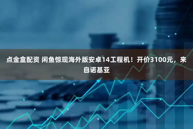 点金盒配资 闲鱼惊现海外版安卓14工程机！开价3100元，来自诺基亚