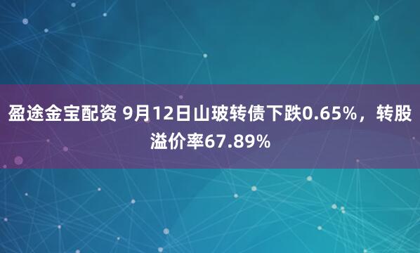 盈途金宝配资 9月12日山玻转债下跌0.65%,转股溢价率67.89%