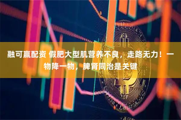 融可赢配资 假肥大型肌营养不良，走路无力！一物降一物，脾肾同治是关键