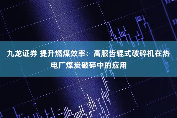 九龙证券 提升燃煤效率：高服齿辊式破碎机在热电厂煤炭破碎中的应用